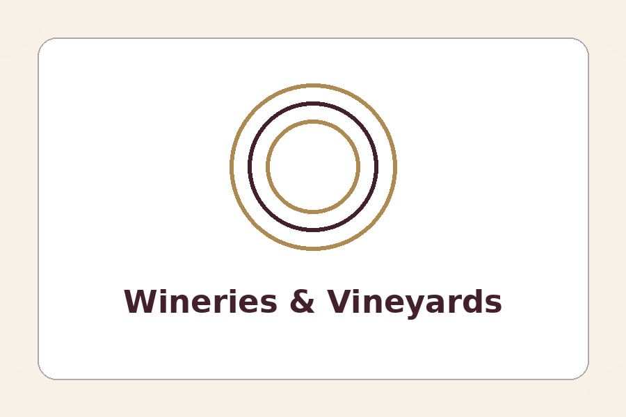 Branded rigid and wooden wine boxes on a vineyard tasting-room counter with bottles